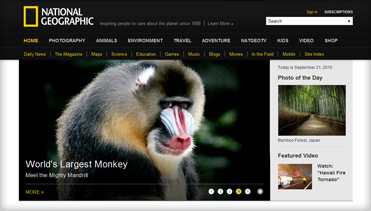 账号兑换码的ddos网页端源码